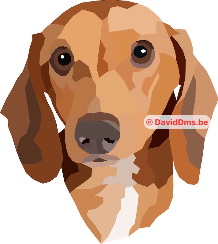 Projet animaux pour impression sur divers supports - Digital